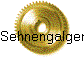 Sehnengalgen