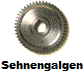 Sehnengalgen